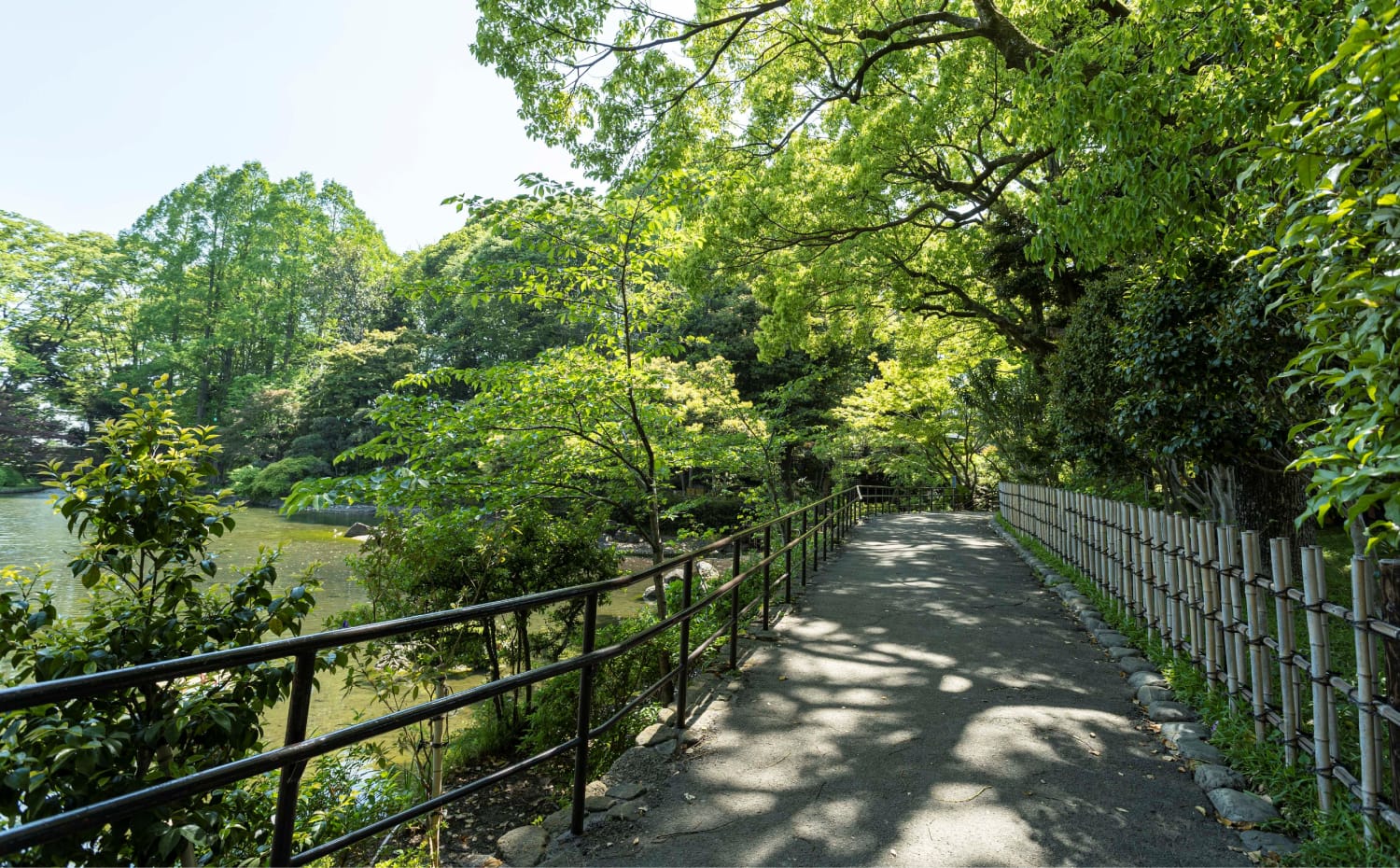 戸越公園（約320m／徒歩4分）