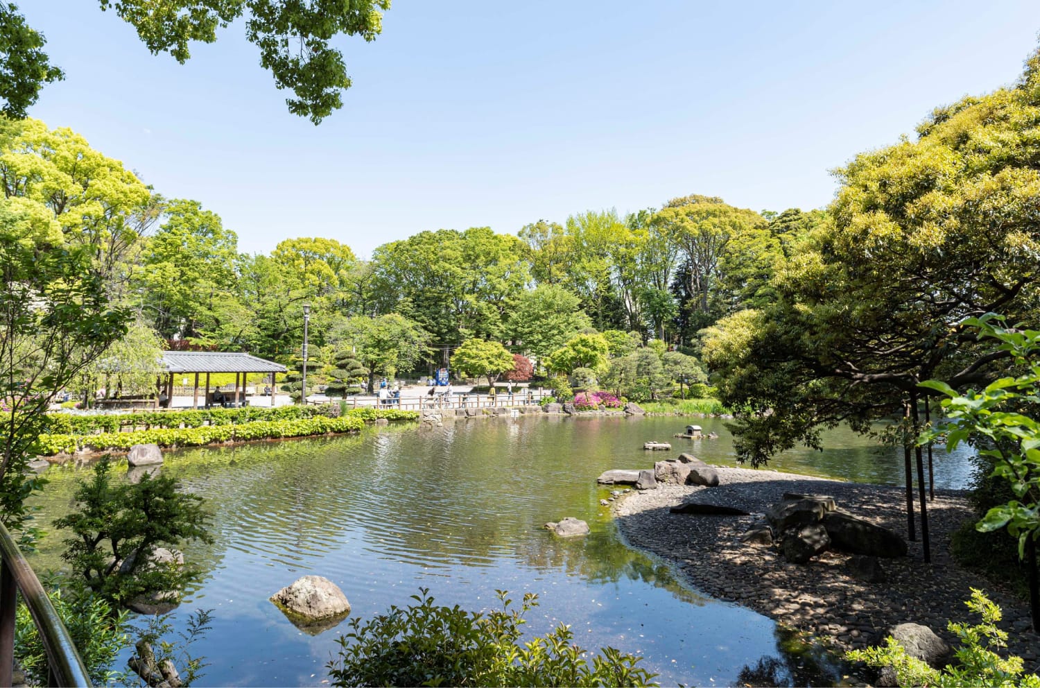 戸越公園（約320m／徒歩4分）