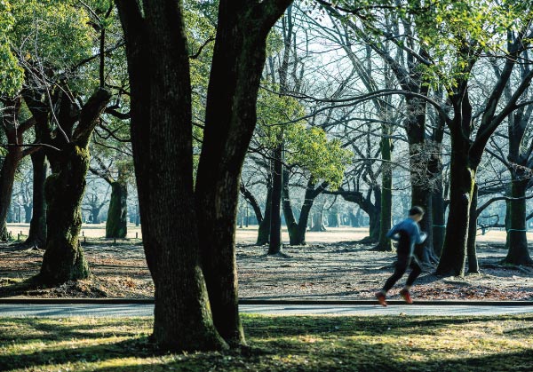 現地周辺の公園