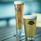 T.Y. HARBOR BREWERY�C���[�W